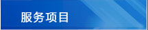 服务项目